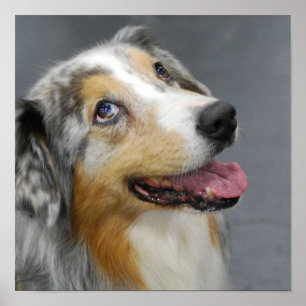 Customise Product Poster