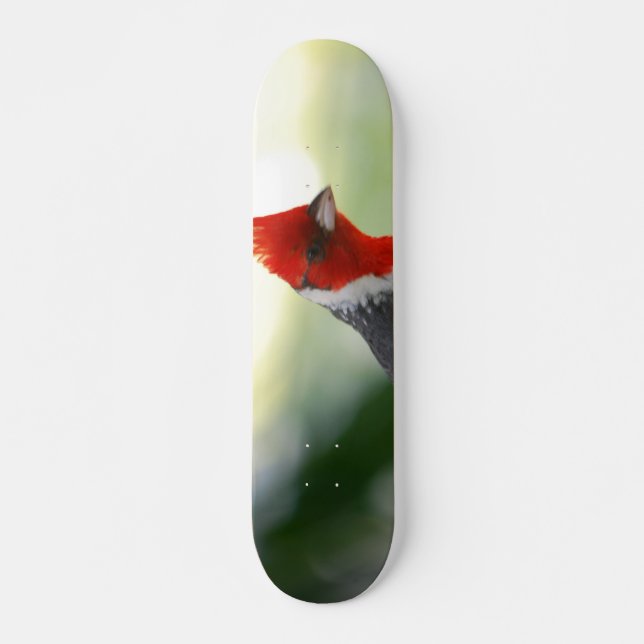 Customise Product Skateboard (Front)