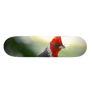 Customise Product Skateboard