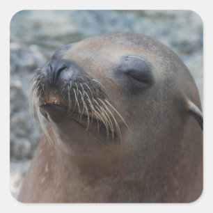 Customise Product Square Sticker