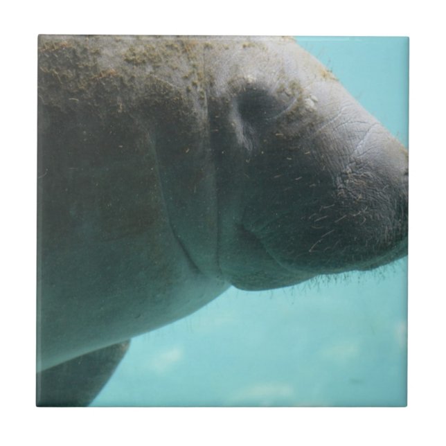 Customise Product Tile (Front)