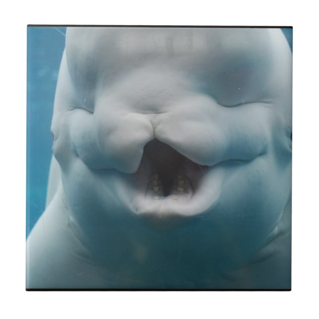 Customise Product Tile (Front)