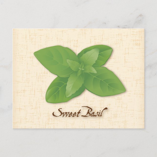 Customise Sweet Basil Postcard (Front)