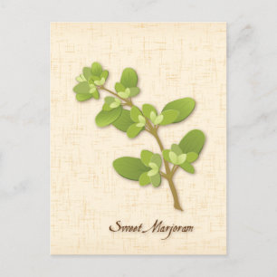 Customise Sweet Marjoram Postcard
