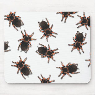Customise Tarantulas Mouse Pad