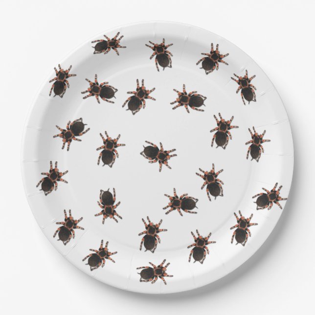 Customise Tarantulas Paper Plate (Front)
