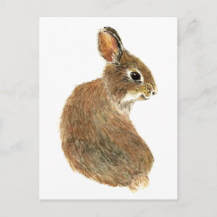 Customise this Curious Rabbit, Watercolor Animal Postcard
