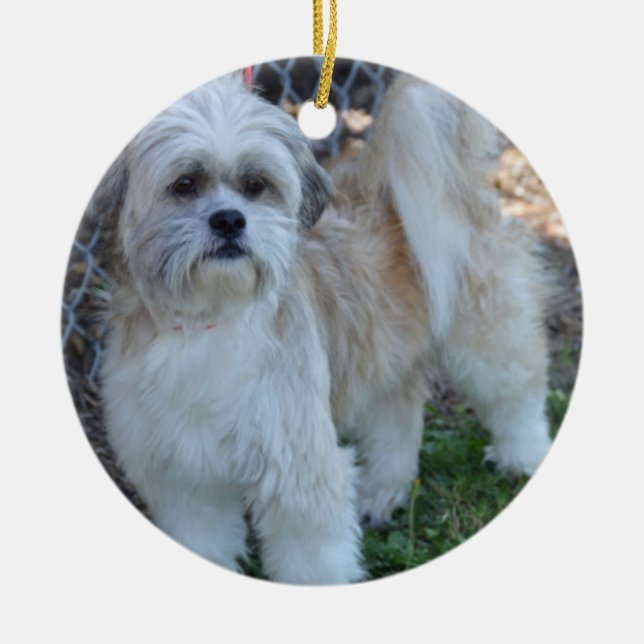 customise w/special photo Christmas Tree Ornaments (Front)