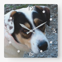 customise with your own pet wall clock