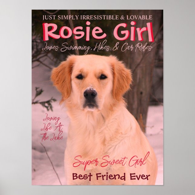 Customise With Your Pet Photo Poster (Front)