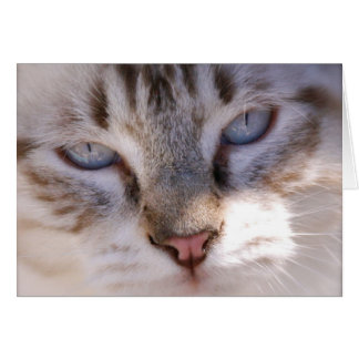 Customise your Own Pet Card