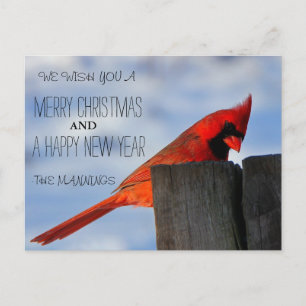 Customise Your Own Picture. Holiday/Christmas Card