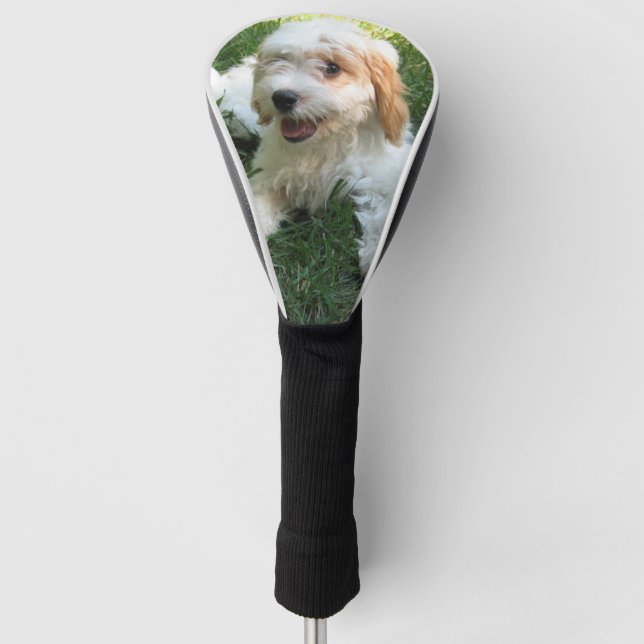 Customised Cavachon Photo, Dog Golf Head Cover (Front)