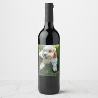 Customised Cavachon Photo, Dog Wine Label
