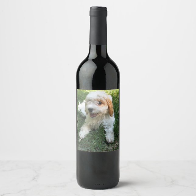 Customised Cavachon Photo, Dog Wine Label (Front)