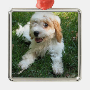 Customised Cavachon Photo Ornament, Dog Metal Ornament