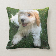 Customised Cavachon Photo Pillow, Dog