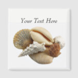 Customised Mixed Seashell Photo Magnet<br><div class="desc">Make it what you want! A shell magnet for a beach lover? A beach themed wedding keepsake or save the date reminder? Whatever you decide let me know,  I'd love to hear!</div>