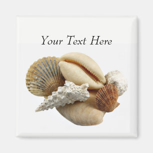 Customised Mixed Seashell Photo Magnet