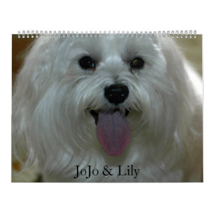 Customised Pet Calendar