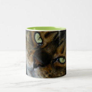 Customised Pet Coffee Mug