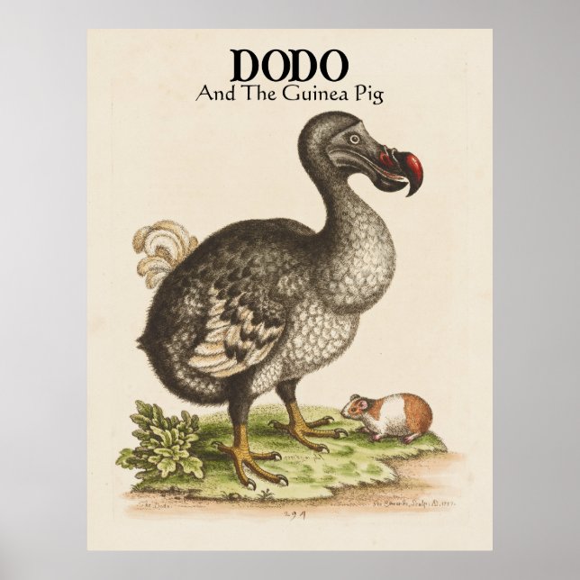 Customised Title and Subtitle Dodo and Guinea Pig  Poster (Front)