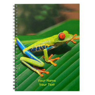 Customised Tropical rainforest green red-eyed Frog Notebook