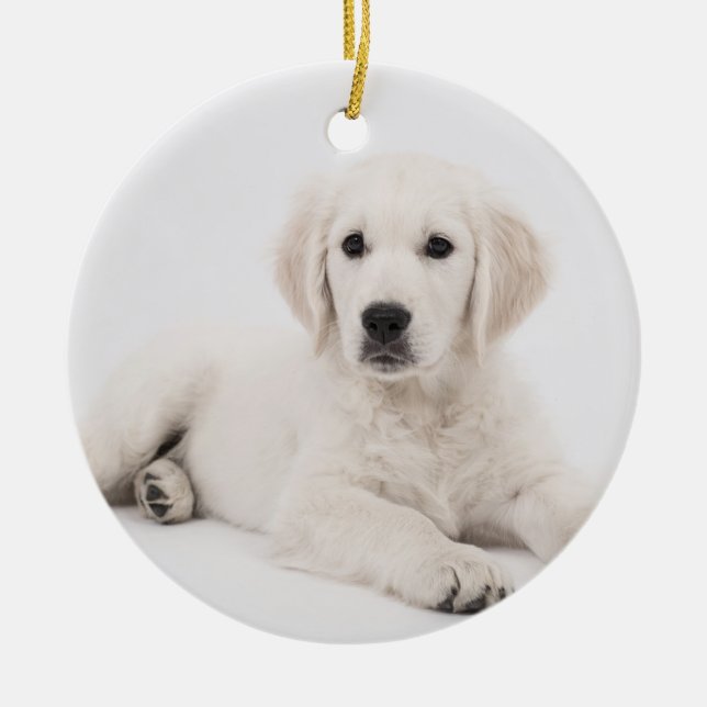 customised with photo pet memorial ceramic ornament (Front)
