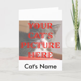 Customised Your Cat's Photo Card