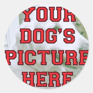Customised Your Dog's Photo Classic Round Sticker