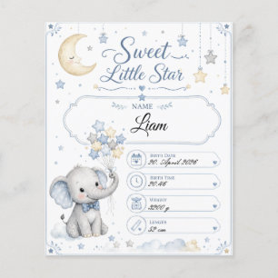 Customizable Baby Birth Chart with Elephant Flyer