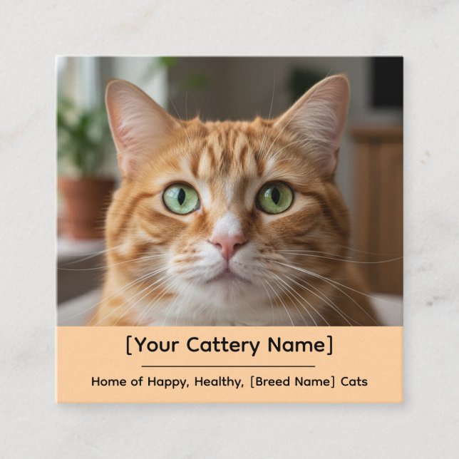 Customizable Cattery Business Card with Cat Photo  (Front)