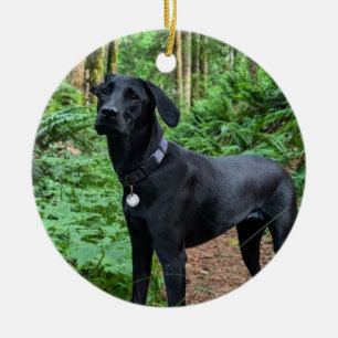 Customizable Ceramic Ornament