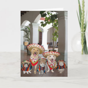 Customizable Cinco de Mayo Card