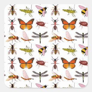 CUSTOMIZABLE COOL INSECT SQUARE STICKERS