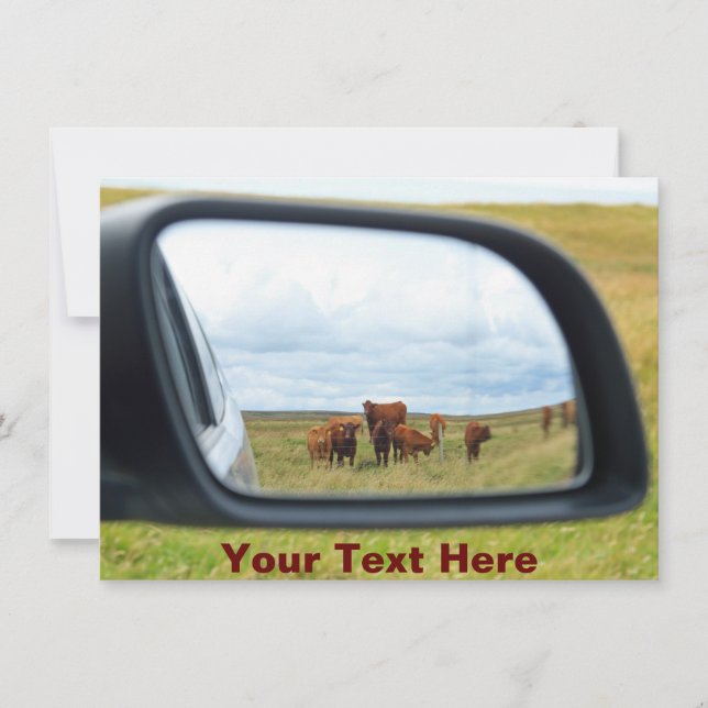 Customizable cows in the mirror card (Front)