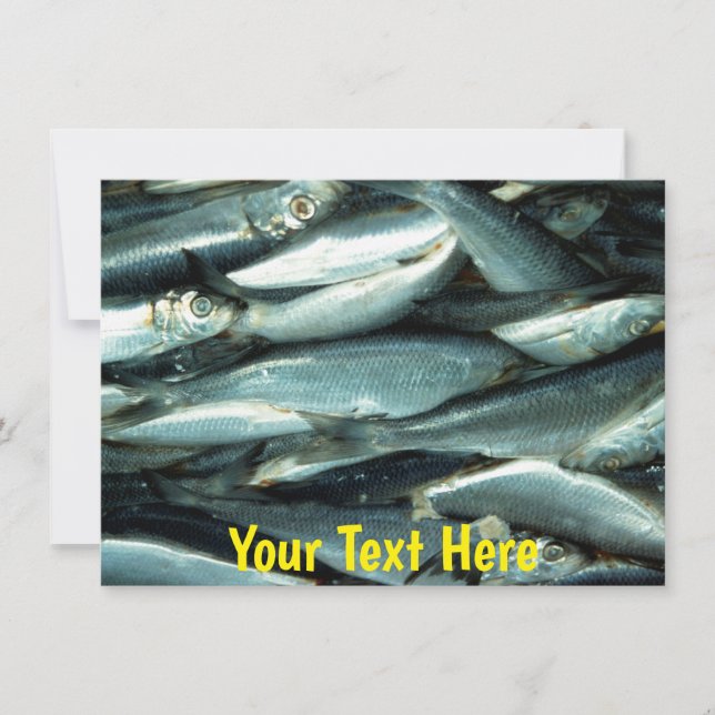 Customizable Fish card (Front)