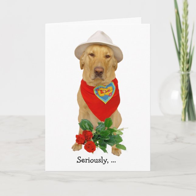 Customizable Funny Lab Valentine Holiday Card (Front)