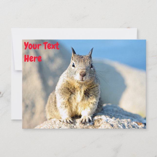 Customizable gray squirrel Card (Front)