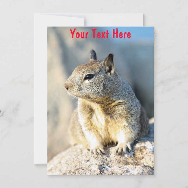 Customizable gray squirrel Monterey Bay California Card (Front)