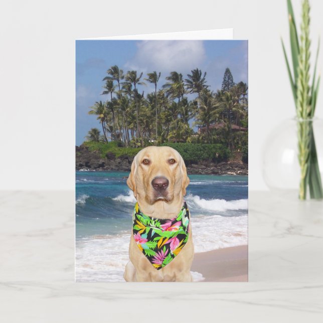 Customizable Hawaiian Yellow Lab Birthday Card (Front)