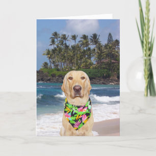 Customizable Hawaiian Yellow Lab Birthday Card