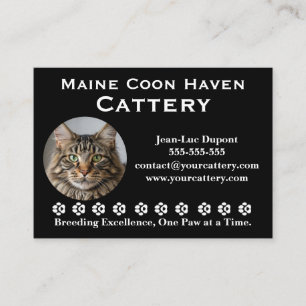Customizable Maine Coon Cattery Business Card