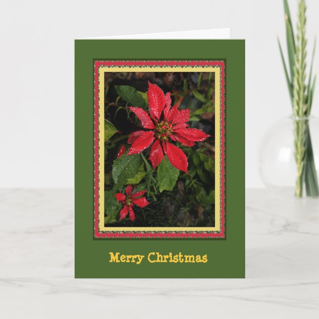 Customizable  Poinsettia Christmas Card (Front)