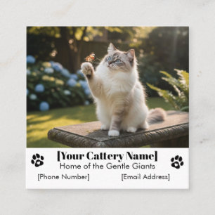Customizable Ragdoll Cattery Business Card