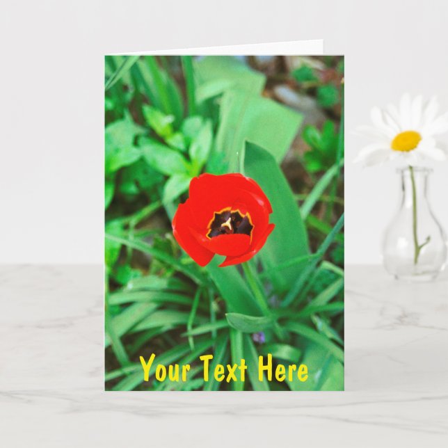 Customizable red tulip card (Small Plant)