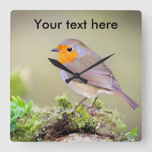 Customizable Robin clock add your own text