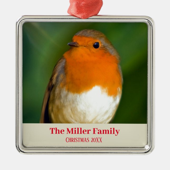 Customizable Robin Red Breast Metal Ornament (Front)