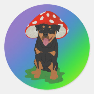 Customizable Rottweiler Mushroom Spring  Classic Round Sticker