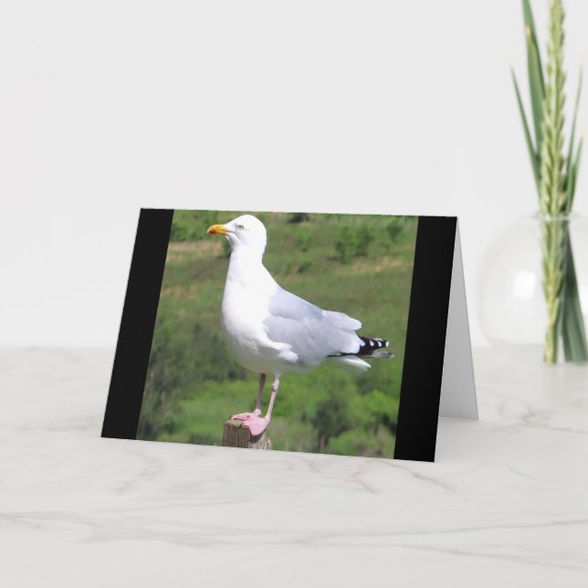 Customizable Seagull Standing On Post Greetings Card (Front)